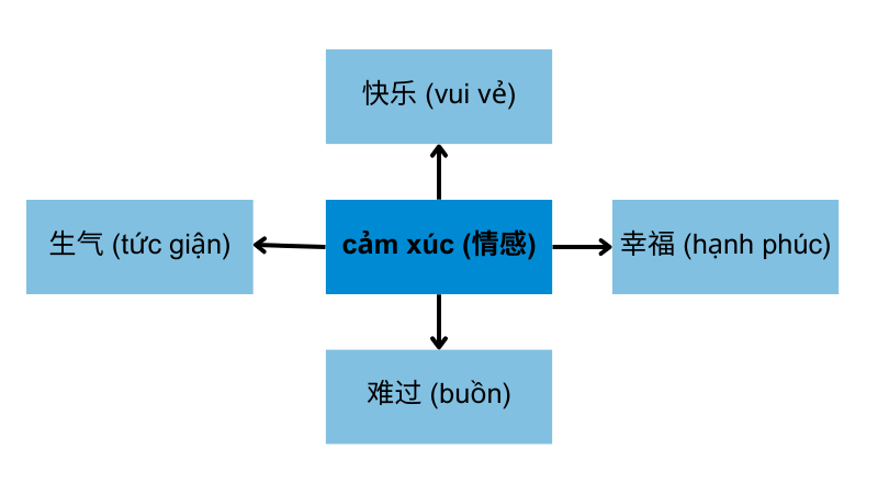 Học từ vựng theo chủ đề bằng sơ đồ tư duy 